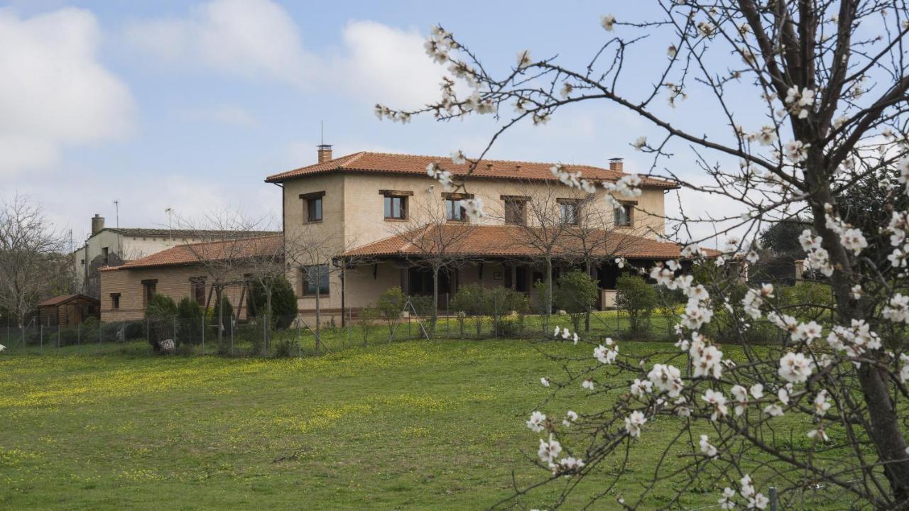 Casa Rural Pilon Del Fraile Oropesa Ngoại thất bức ảnh